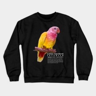 Lutino rosy-faced lovebird white text Crewneck Sweatshirt